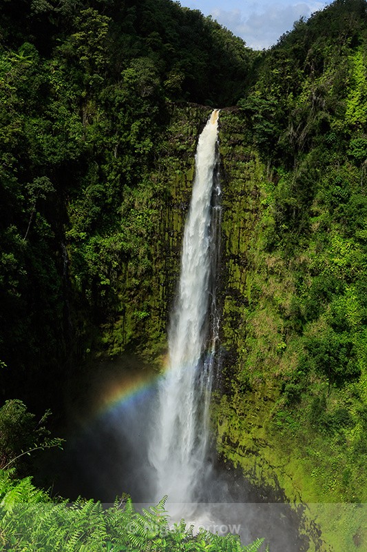 Rainbow at Akaka Falls, Hawaii - Hawaiian Islands, USA