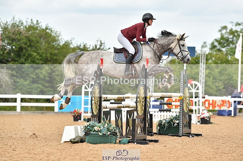 230720A-123452-02590 - Cls 13, 1 Star Bronze 1.10m