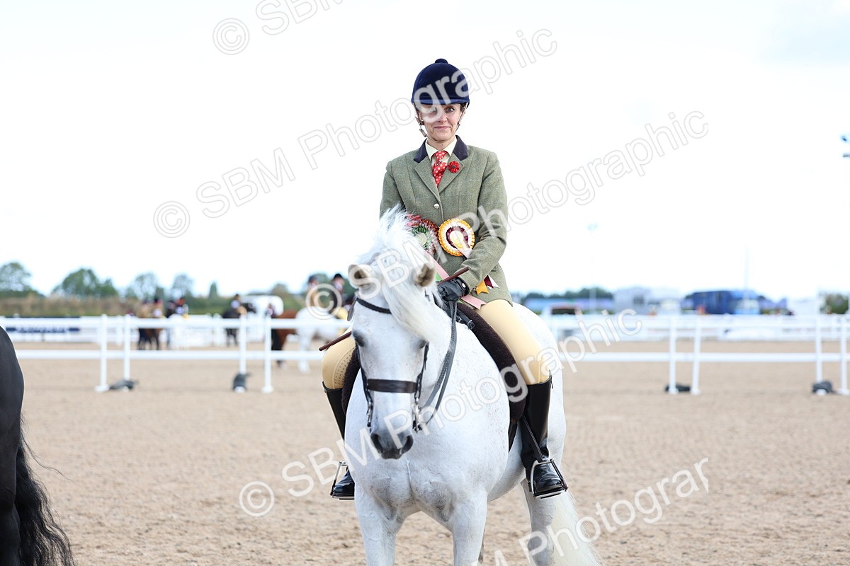 SBM_08971 - Class 302 - Ridden M&M - Large Breeds