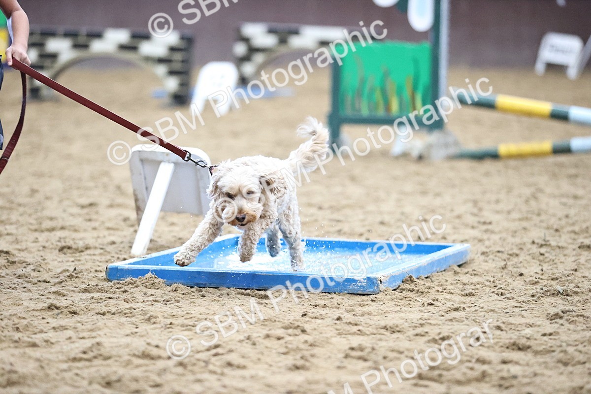 SBM_001226 - Class 3 - Horse & Hound 60cm