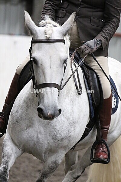 SIAL5147 - CAbin Dressage 5th july 2025