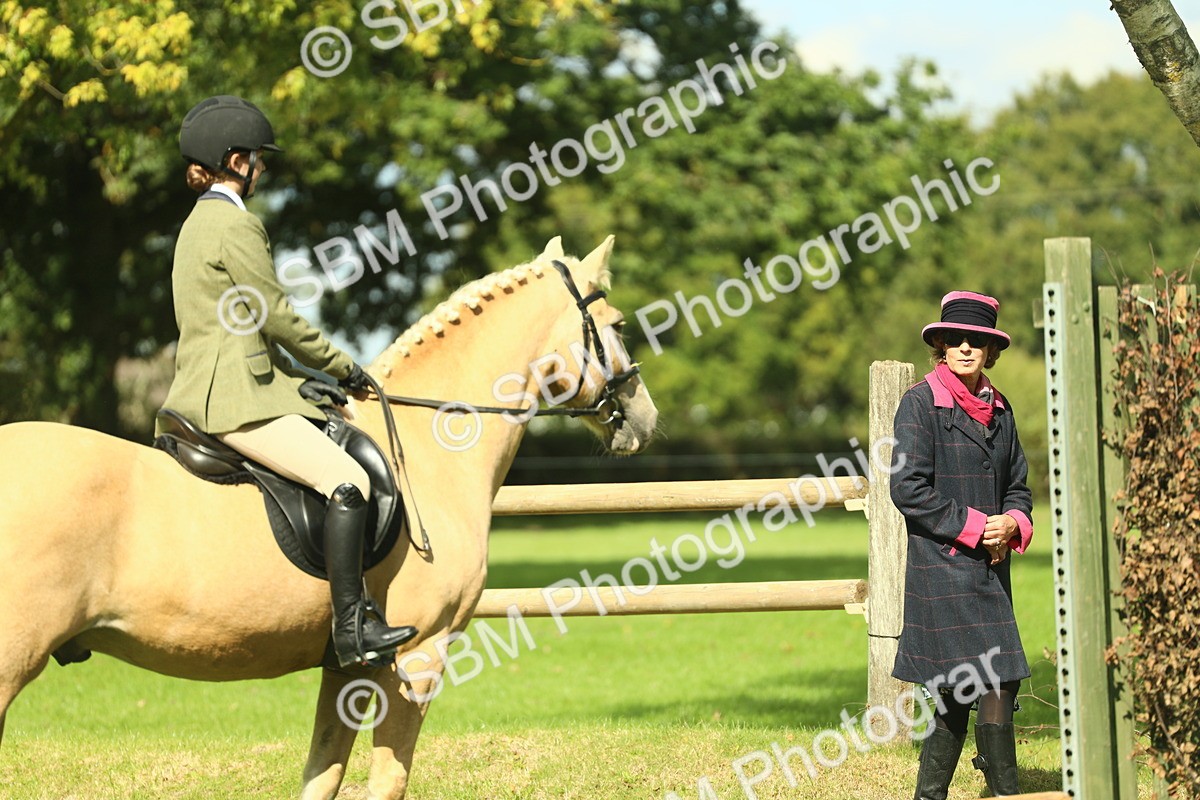 SBM_42111 - S29 - Novice & Newcomers Working Hunter Pony