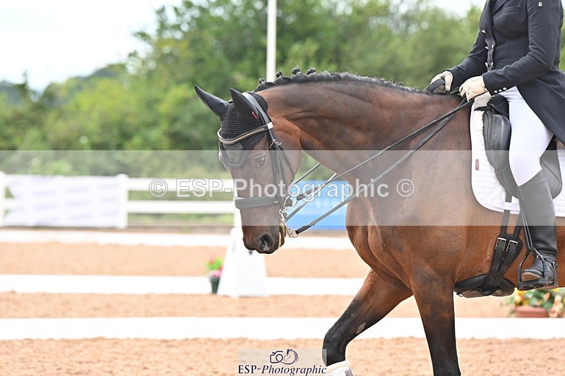 240815A-163745-02693 - Cls 5-P Inter I Bronze