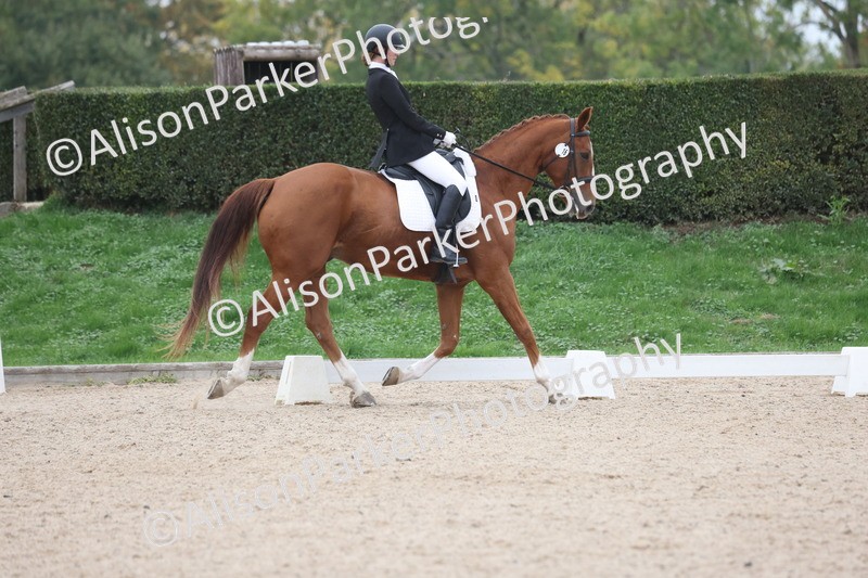 20251011-0568 - Class 4 - Novice 2