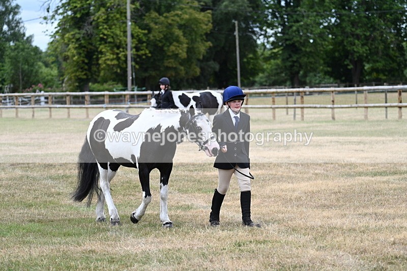 WJ7_1457 - Class 4 Prettiest Mare up to 14.2hh in hand