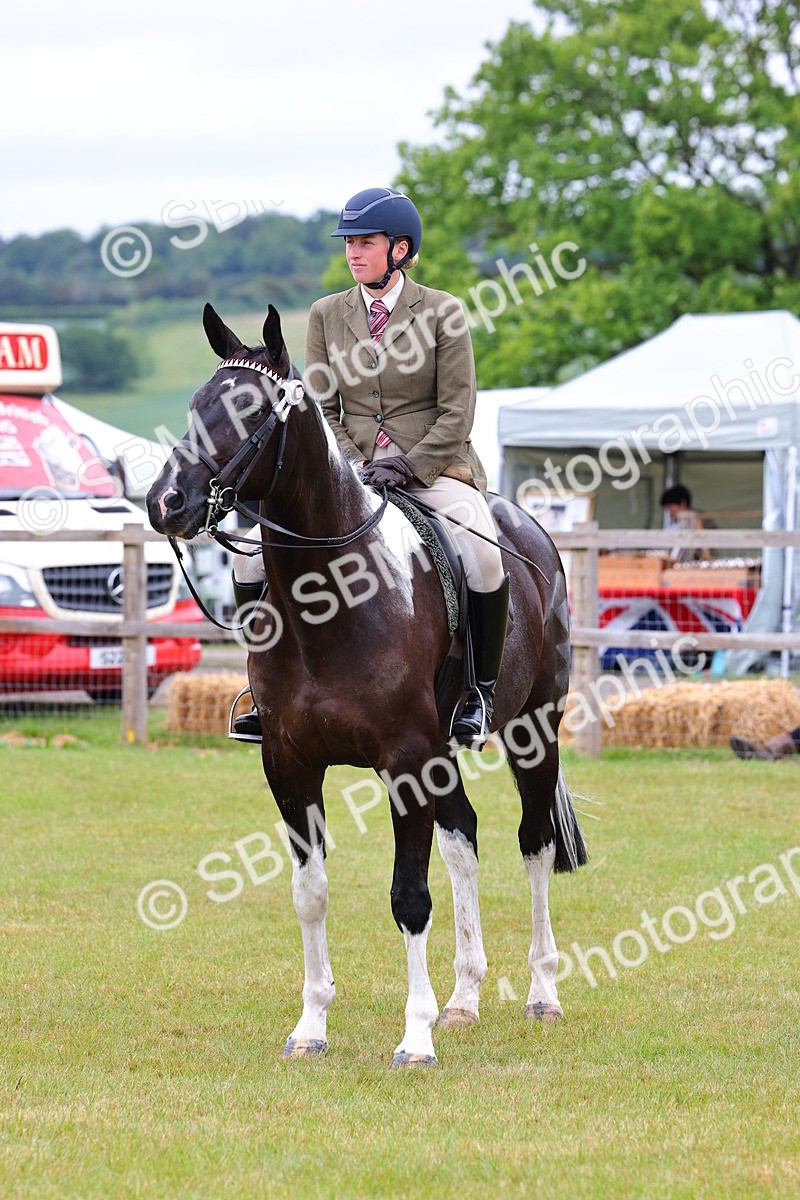 SBM_02549 - Class 9-11 Side Saddle including LIHS Rising Star Ladies Show Horse