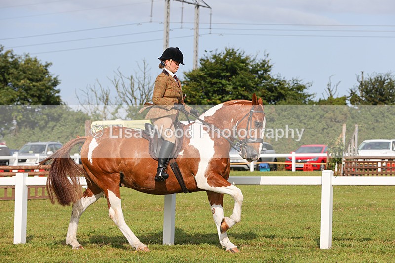 1X9A3119 - Class 27:  Ridden Native/Trad Coloured Horse