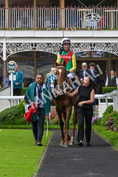 250524-Race 6-Primo Lara-4269 - Race 6 4.30pm Royal Yorkshire Regiment Handicap