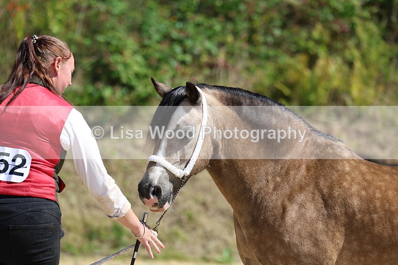 3E7A9678 - Class 32: Best Grass Kept