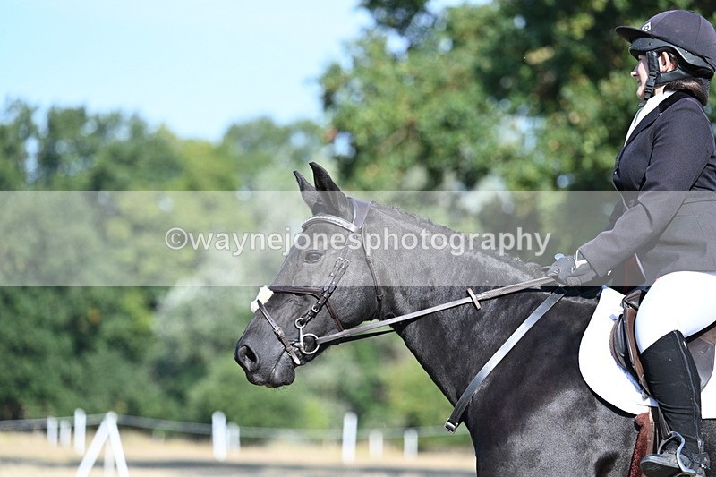 WJ7_9185 - Time 09:27 to 10:03