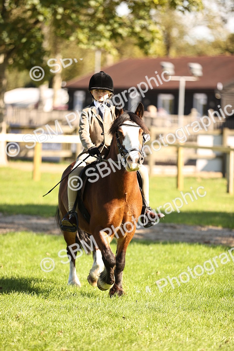 SBM_19159 - S3 - TSR Ridden Pony Showing