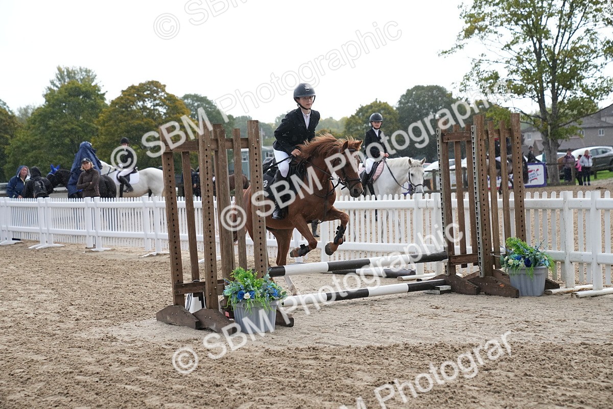 SBM_00073 - J53 - Clear Round 40cm