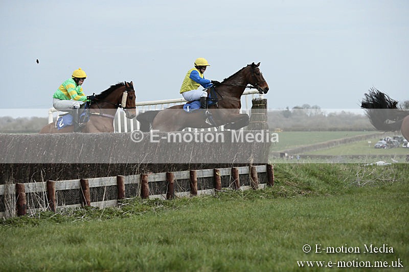 PtP 230319 16 - VWH Hunt Siddington Point-to-Point Racing 23/03/19