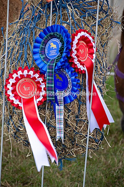 DSC_0300 - Ring 1