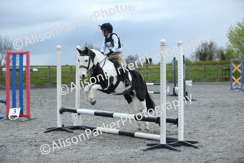 20260412-1842 - Show Jumping