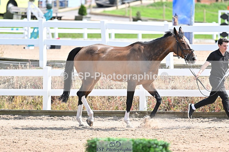 240717A-151747-02726 - Trot Up 3pm to 4pm