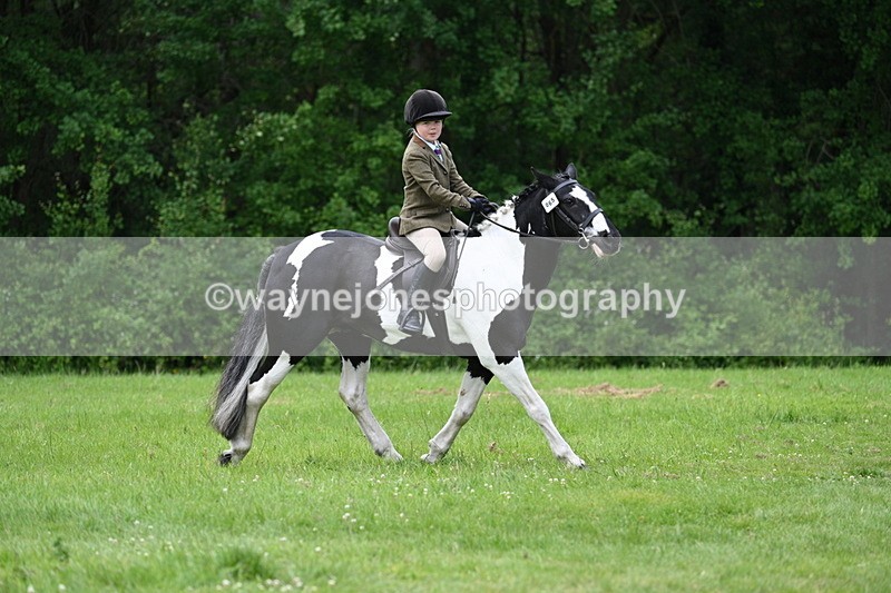 WJ7_2387 - Class 12A Coloured Class