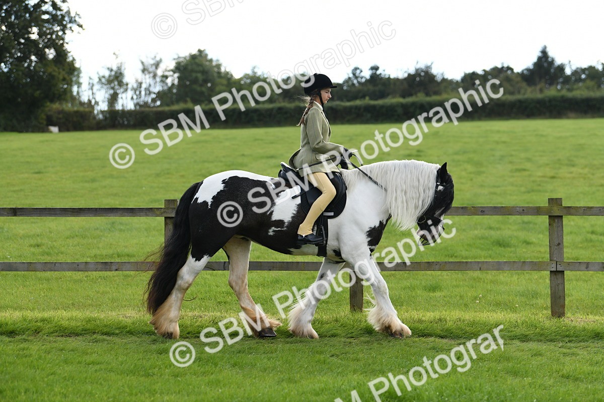 SBM_46721 - S12 - Family Horse & Pony