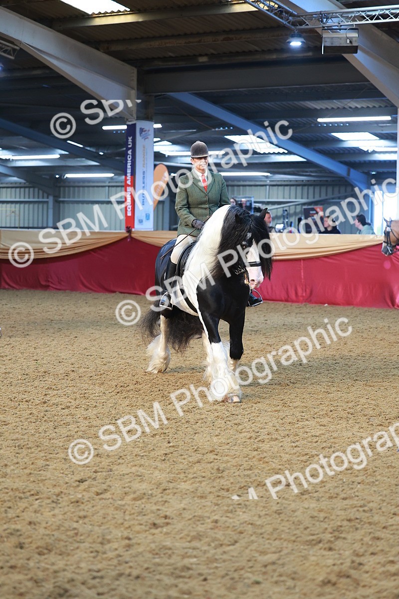 SBM_09424 - Class 102 - HOYS Veteran Qualifier - Ridden Veteran