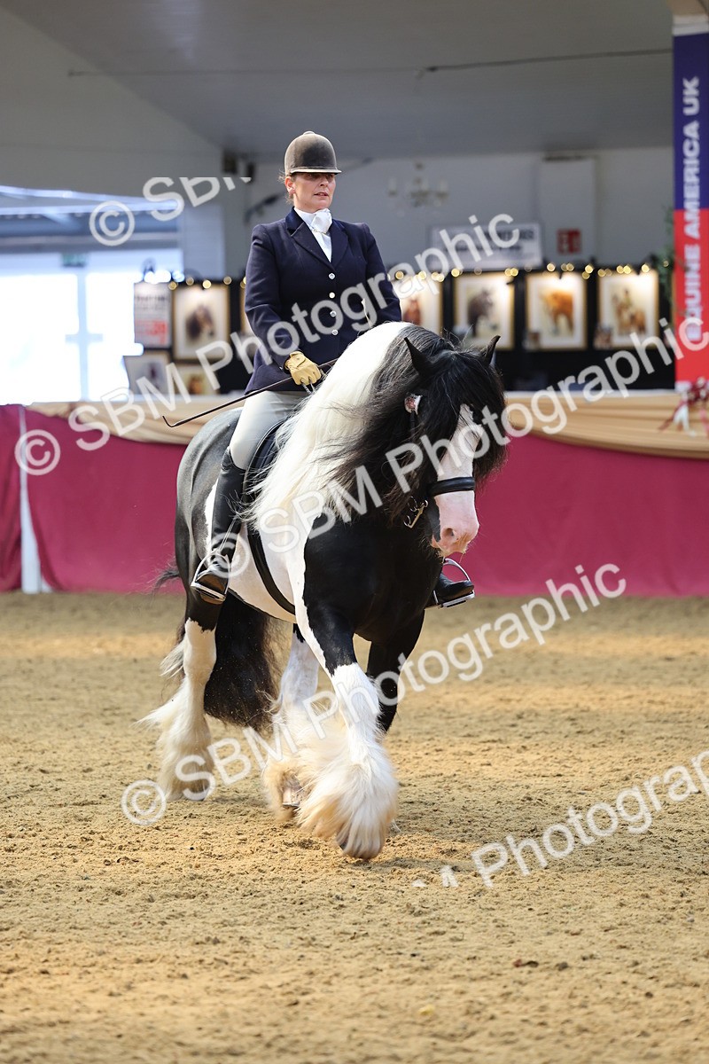 SBM_24129 - Class 905 - Supreme Final - Ridden Veteran