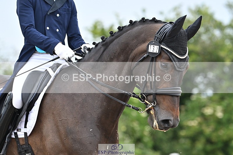 240621A-185511-06376 - Cls 17 BD FEI PSG