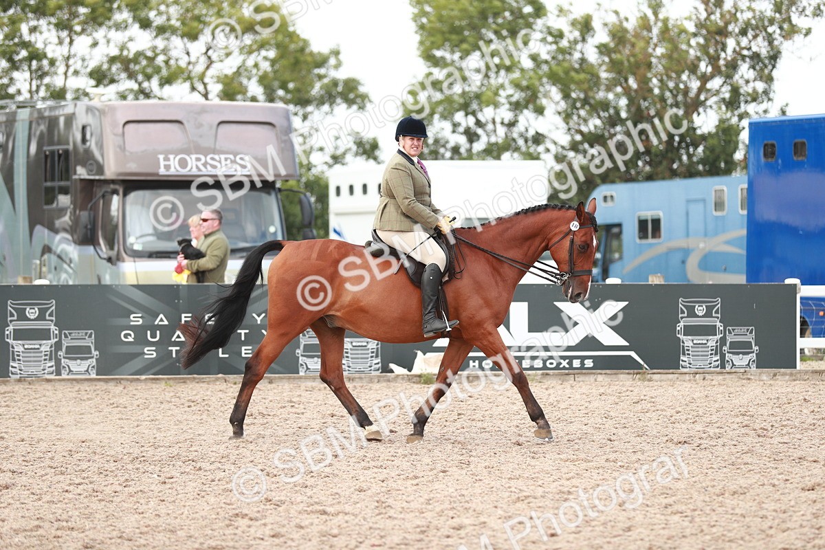 SBM_15481 - Class 213 Ridden Hunter -Large