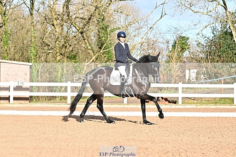 241214-114408-01438 - 151-Elder.Klatzko-Dynasty.Hit