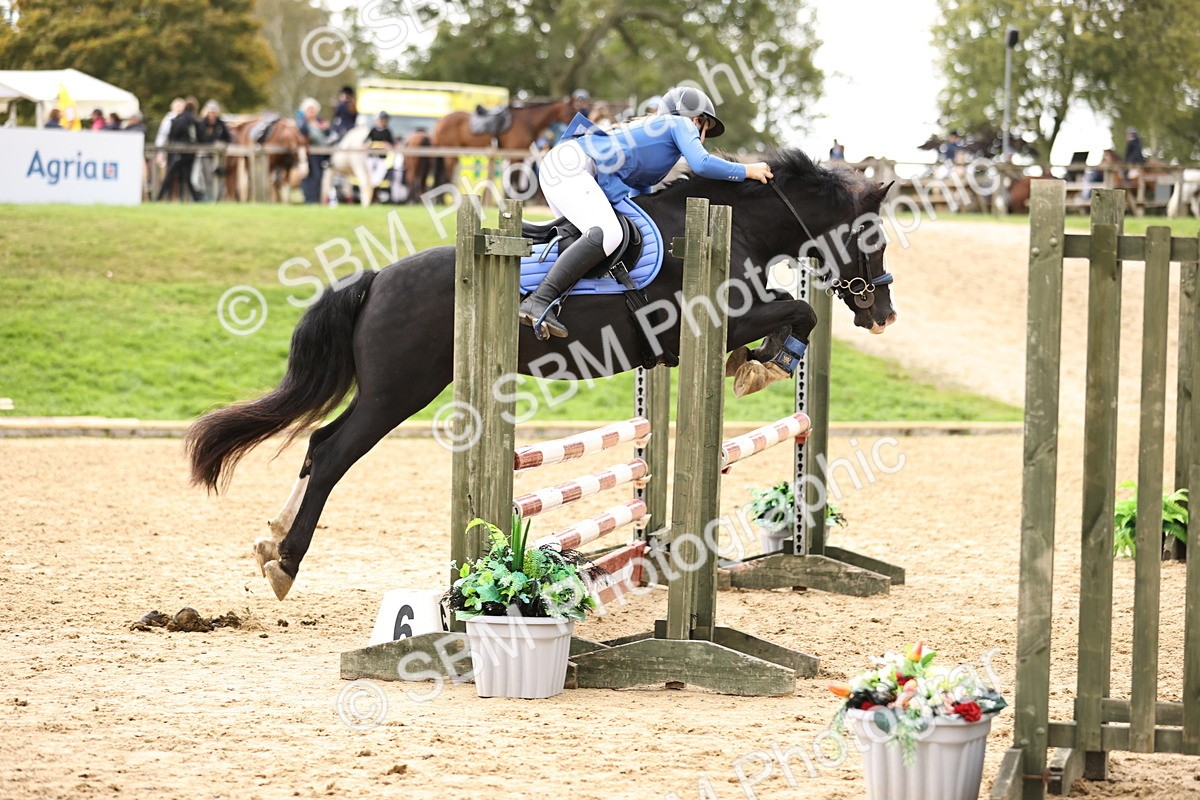 SBM_42014 - J40 Senior Horse & Pony 90cm Supreme Championship