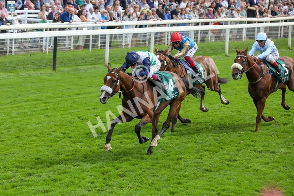 250823-Race 2-Coltrane-5817 - Race 2 2.25pm Weatherbys Hamilton Lonsdale Cup Stakes