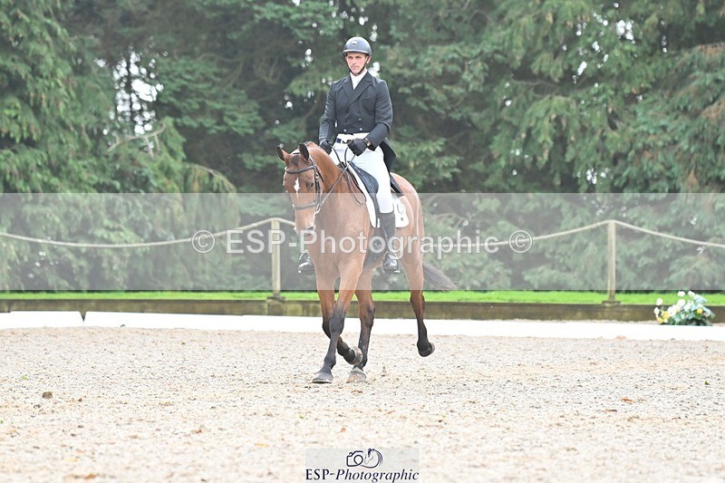 231019-115930-02977 - 111-ACQUA.MARINA.DELLA.CACCIA-Joe.Roome-DR