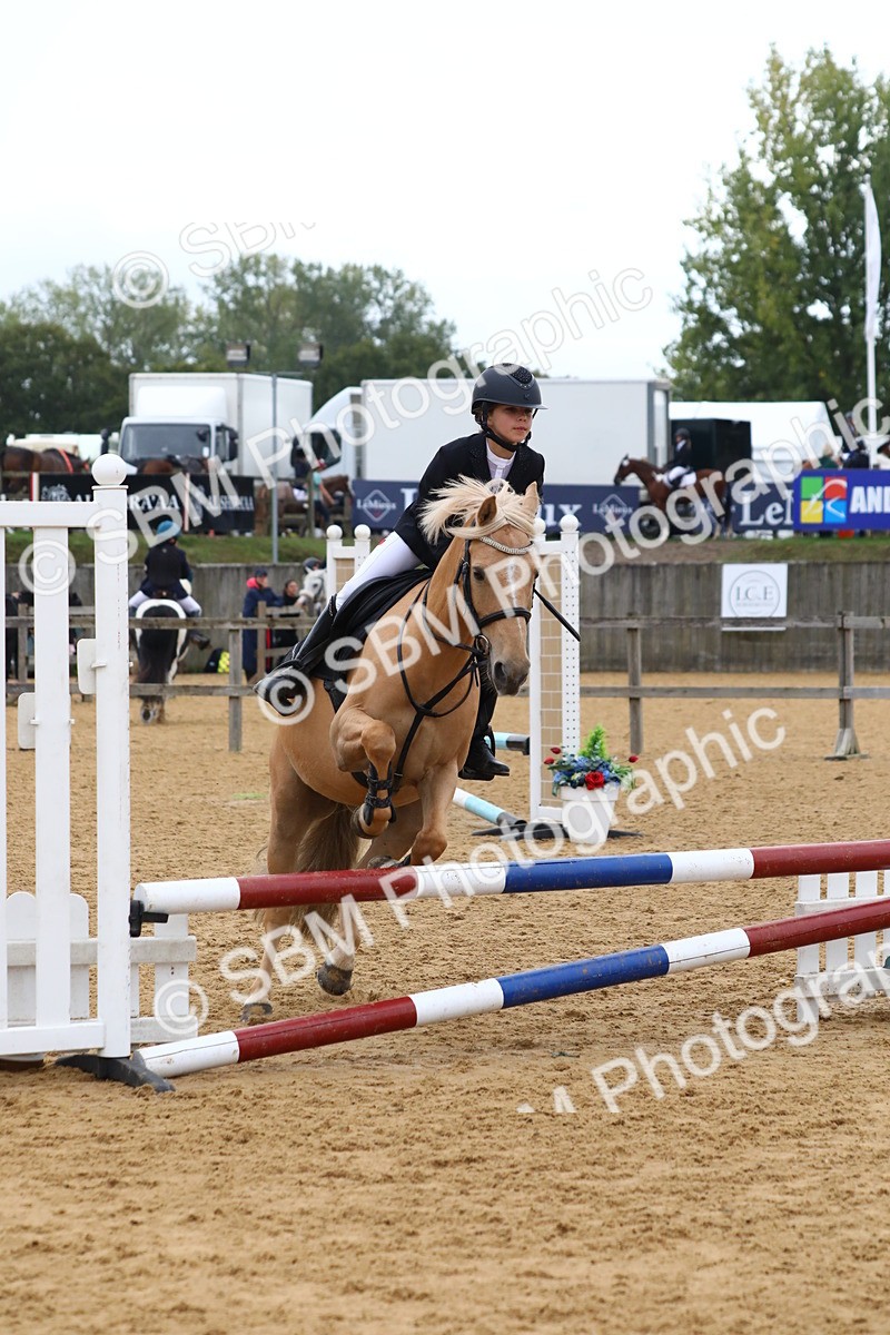 SBM_62250 - J64 - Junior Pony 60cm Championship
