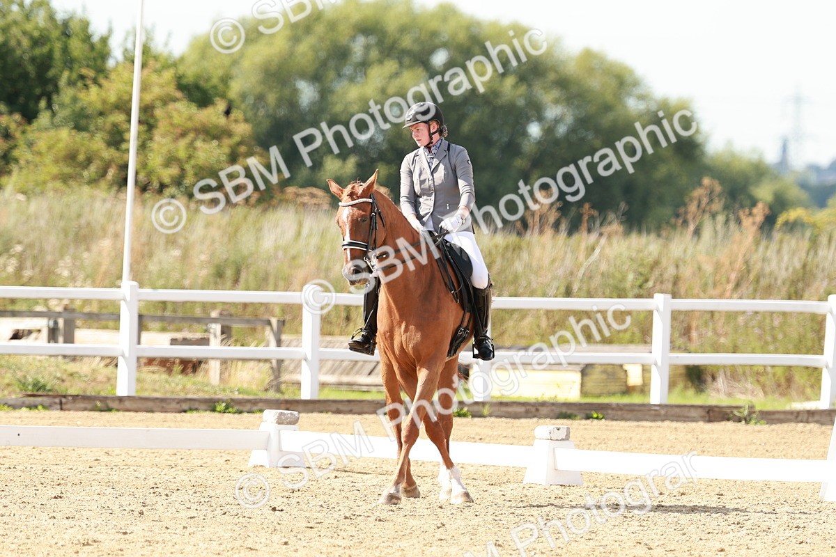 SBM_002555 - Class 11 - Medium 6