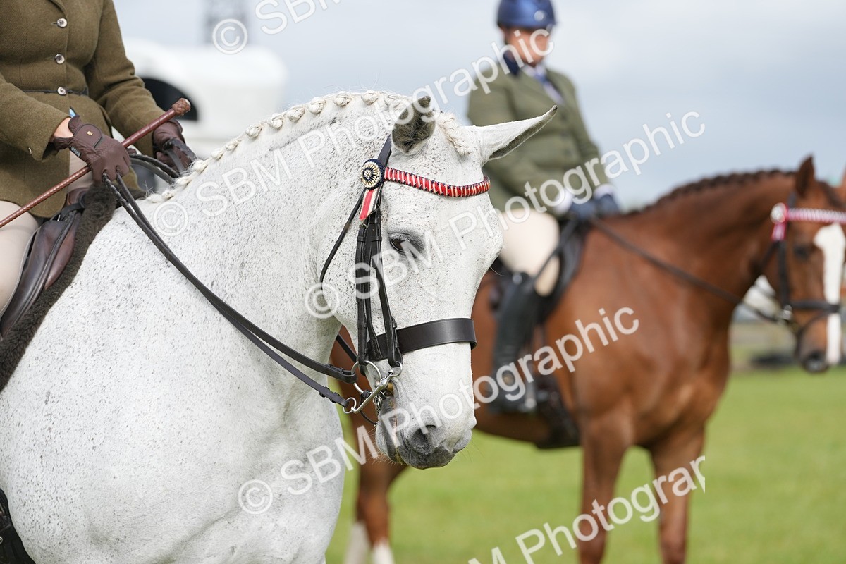 SBM_10595 - Class 97-98 - LIHS BSHA Rising Star Working Show Horse Hunter