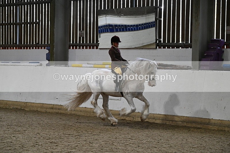 WJ7_4222 - Class 17 Ridden Cob