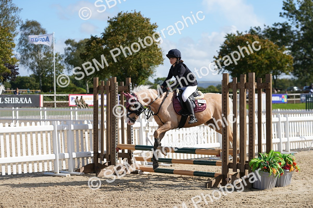 SBM_46658 - J7 - Junior Pony 60cm Championship