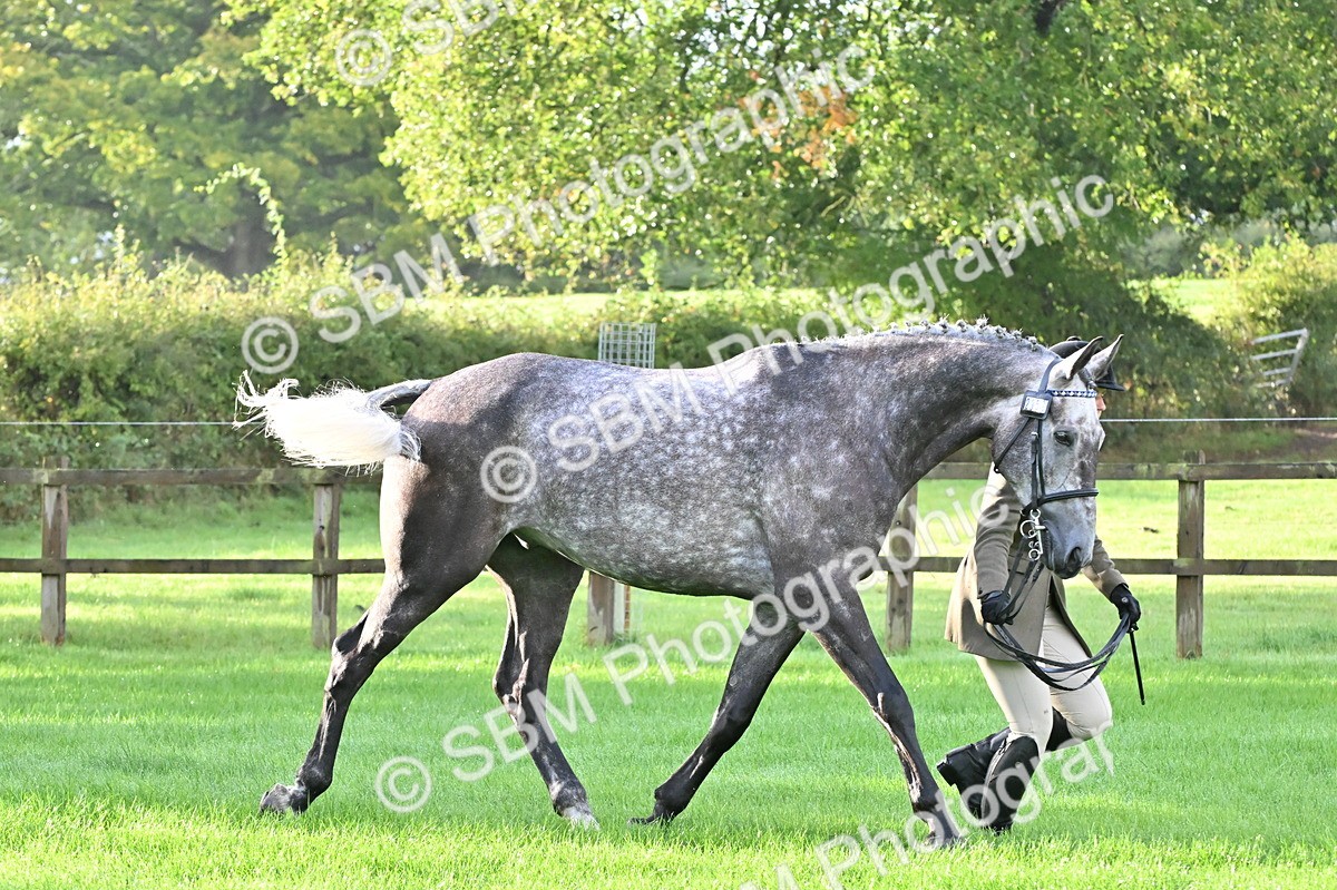 SBM_32604 - S15 - Top Turnout In Hand