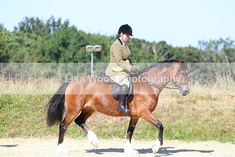 3E7A7989 - Class 14: Tack and Turnout