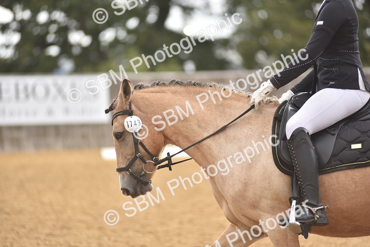 SBM_42371 - D22 - Junior Championship Intro 3