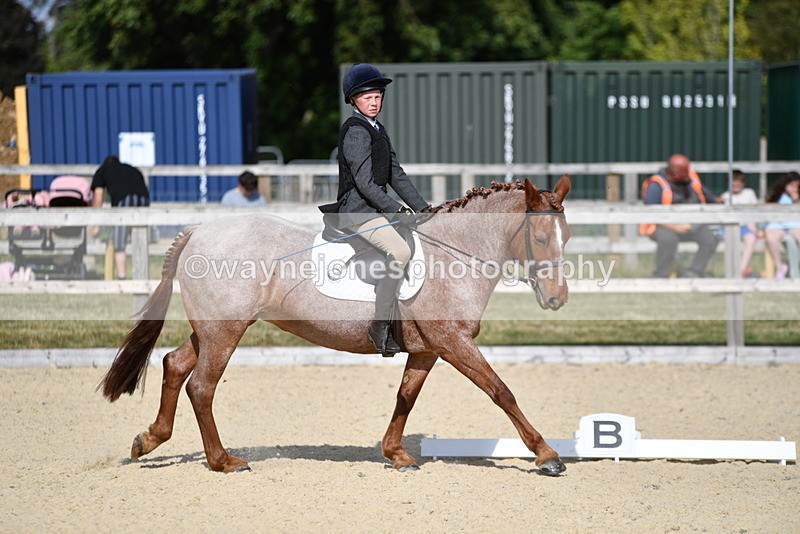 WJ5_8016 - Time 16:56 to 17:14