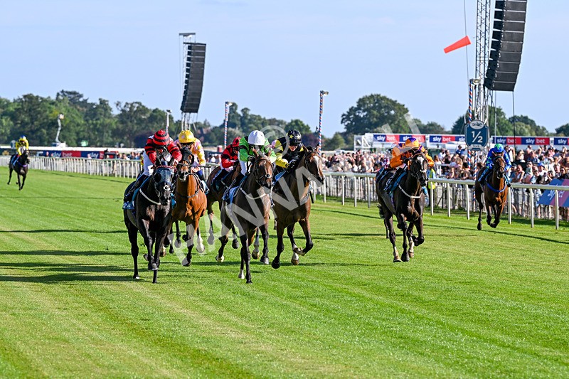 240726-Race 2-Vaguely Royal-5090 - Race 2 18.05pm Elevator Company Handicap