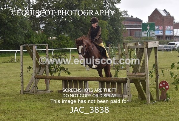 JAC_3838 - 65cm WORKING HUNTER