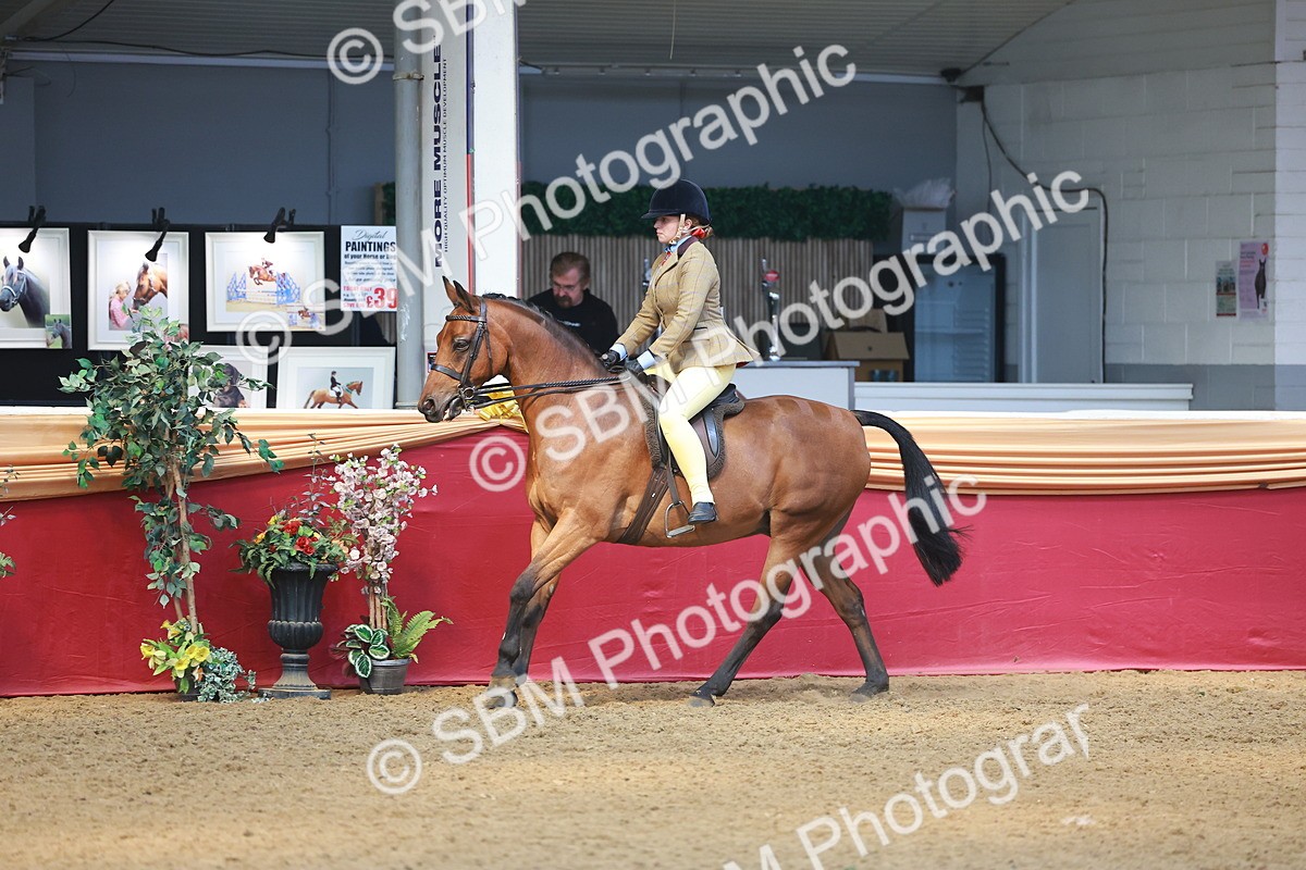 SBM_12588 - Class 103 - HOYS Veteran Qualifier - Ridden Pre Vet
