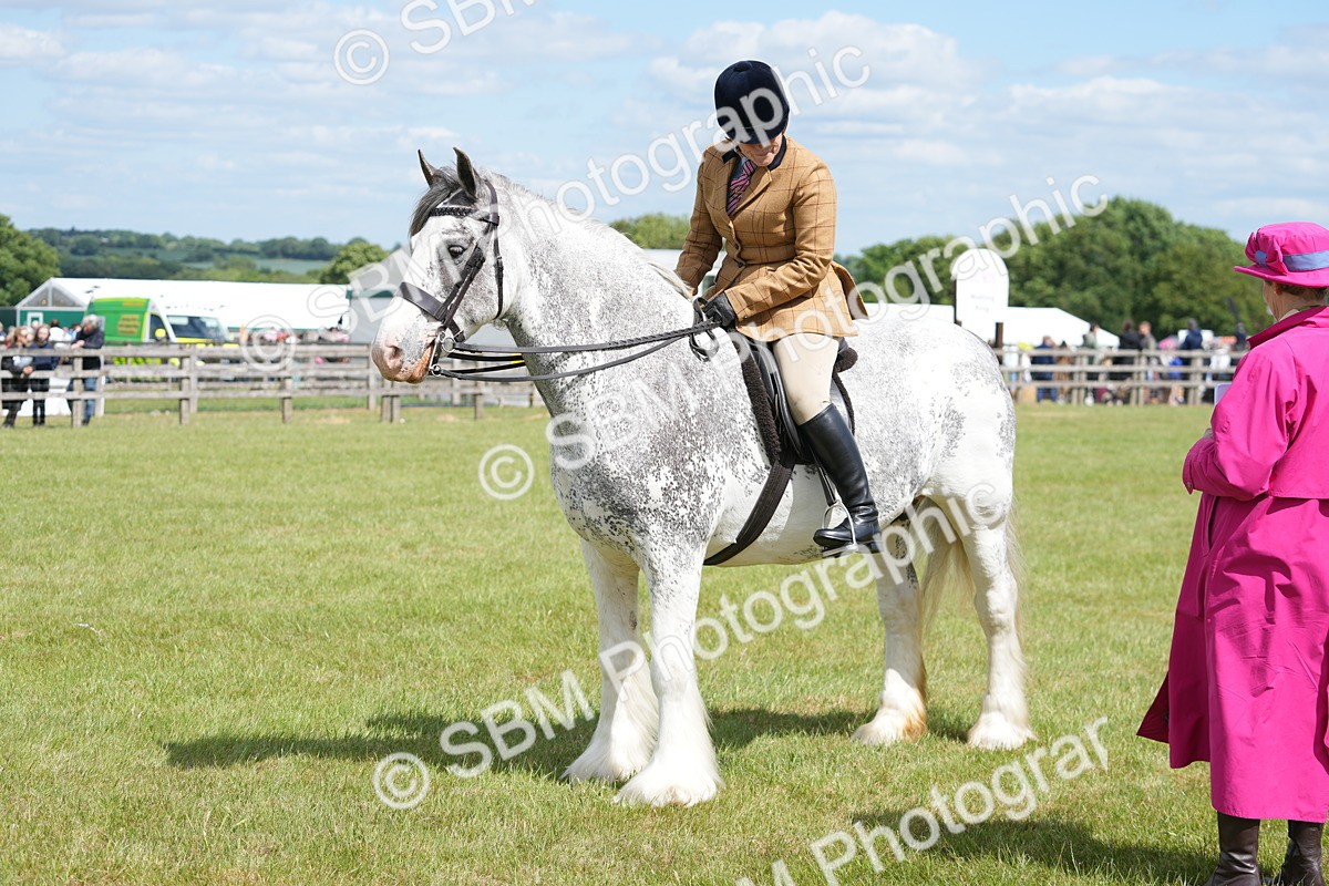 SBM_17251 - Class 107-108 - LIHS BSPS Performance Coloured Horse Pony