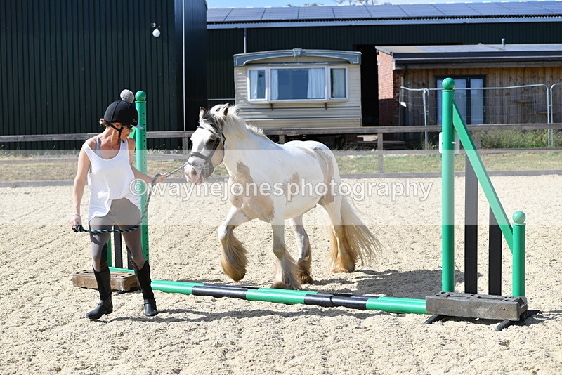 WJ5_5452 - Poles on the Floor