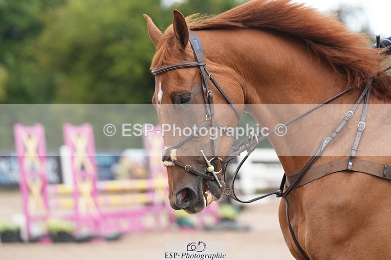 250731-105348-01471 - Cls 08  85cm Nat Am Qual