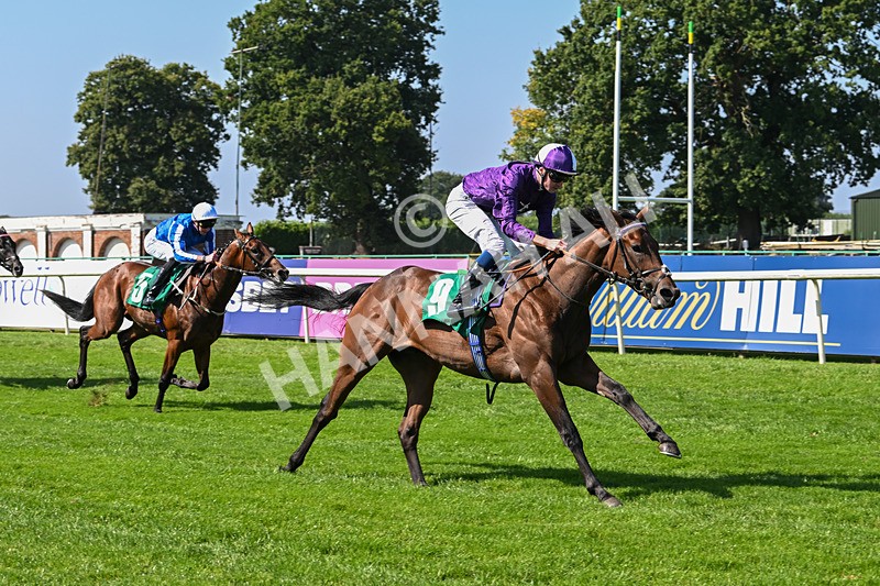 300824-Race 1-Tuscan Hills-5622 - Race 1