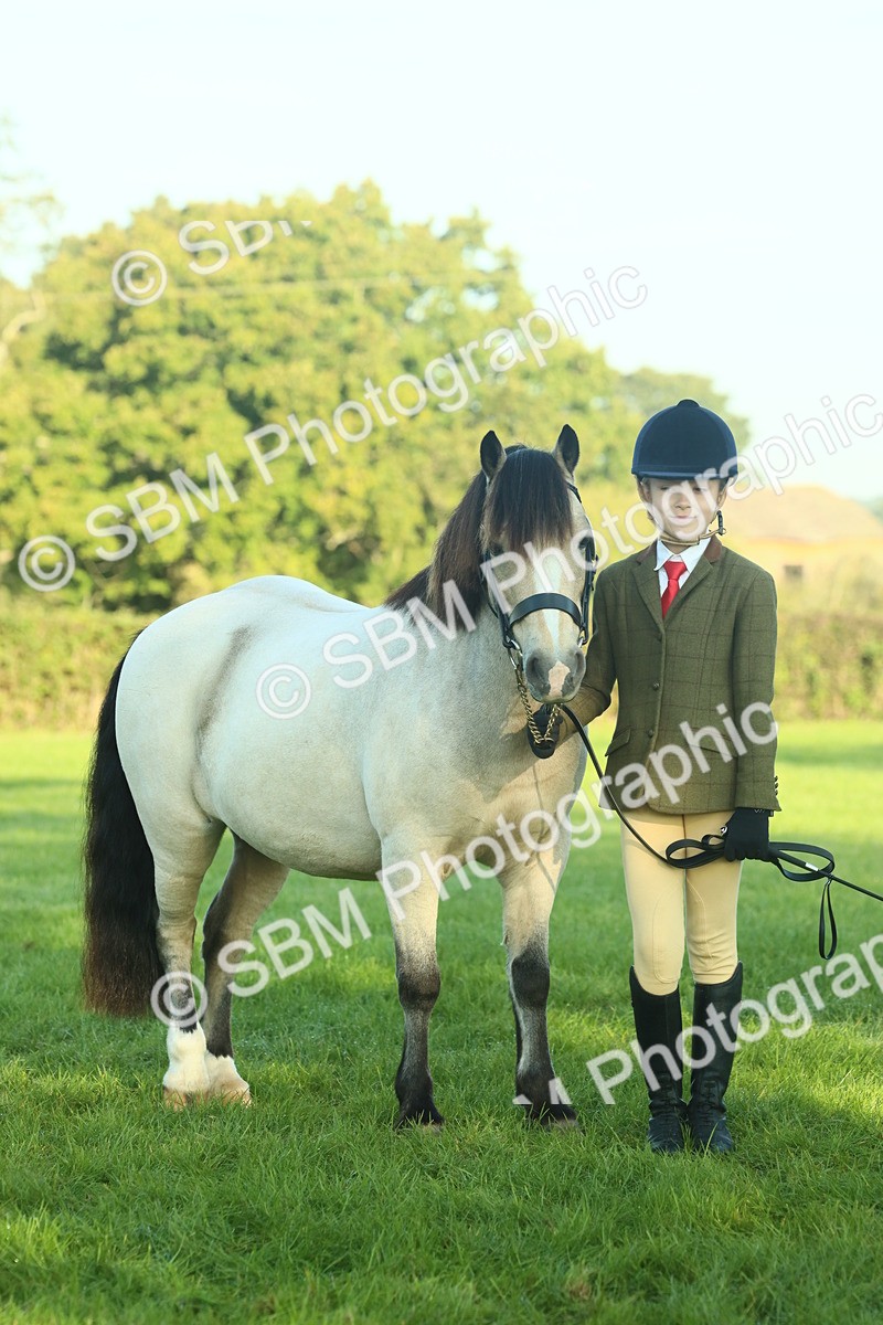SBM_57460 - S37 - Starters In Hand Showing