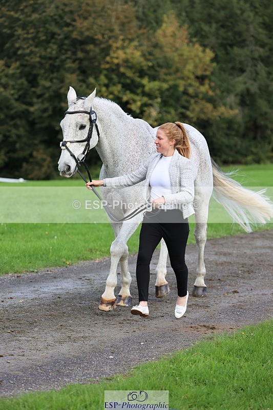 251026A-103111-23063 - E-394-Franki.Jarvis