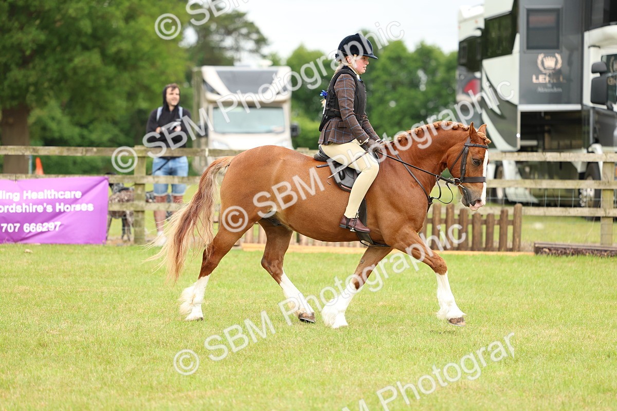 SBM_10340 - Class 44-45 - LIHS BSPS Open Nursery and Cradle Stakes