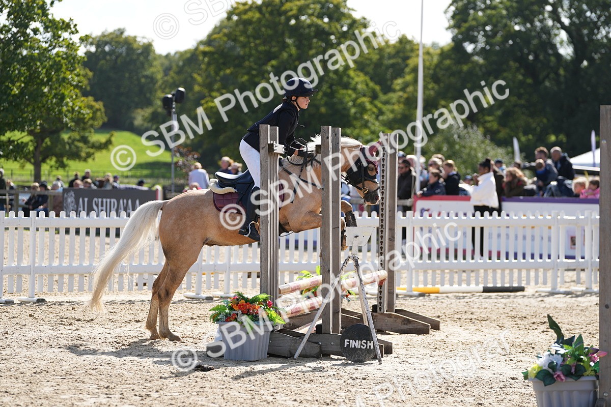 SBM_46667 - J7 - Junior Pony 60cm Championship